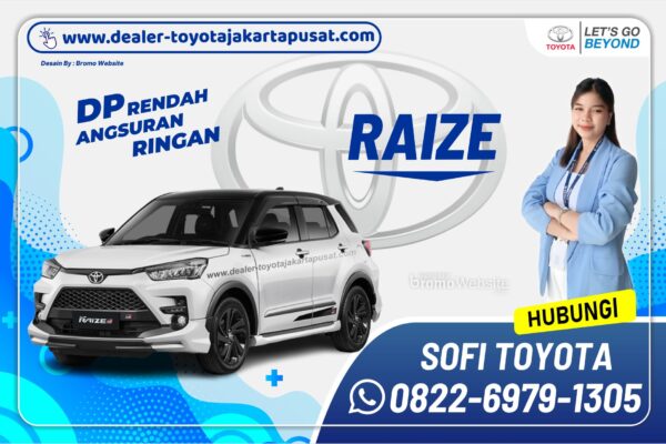 RAIZE